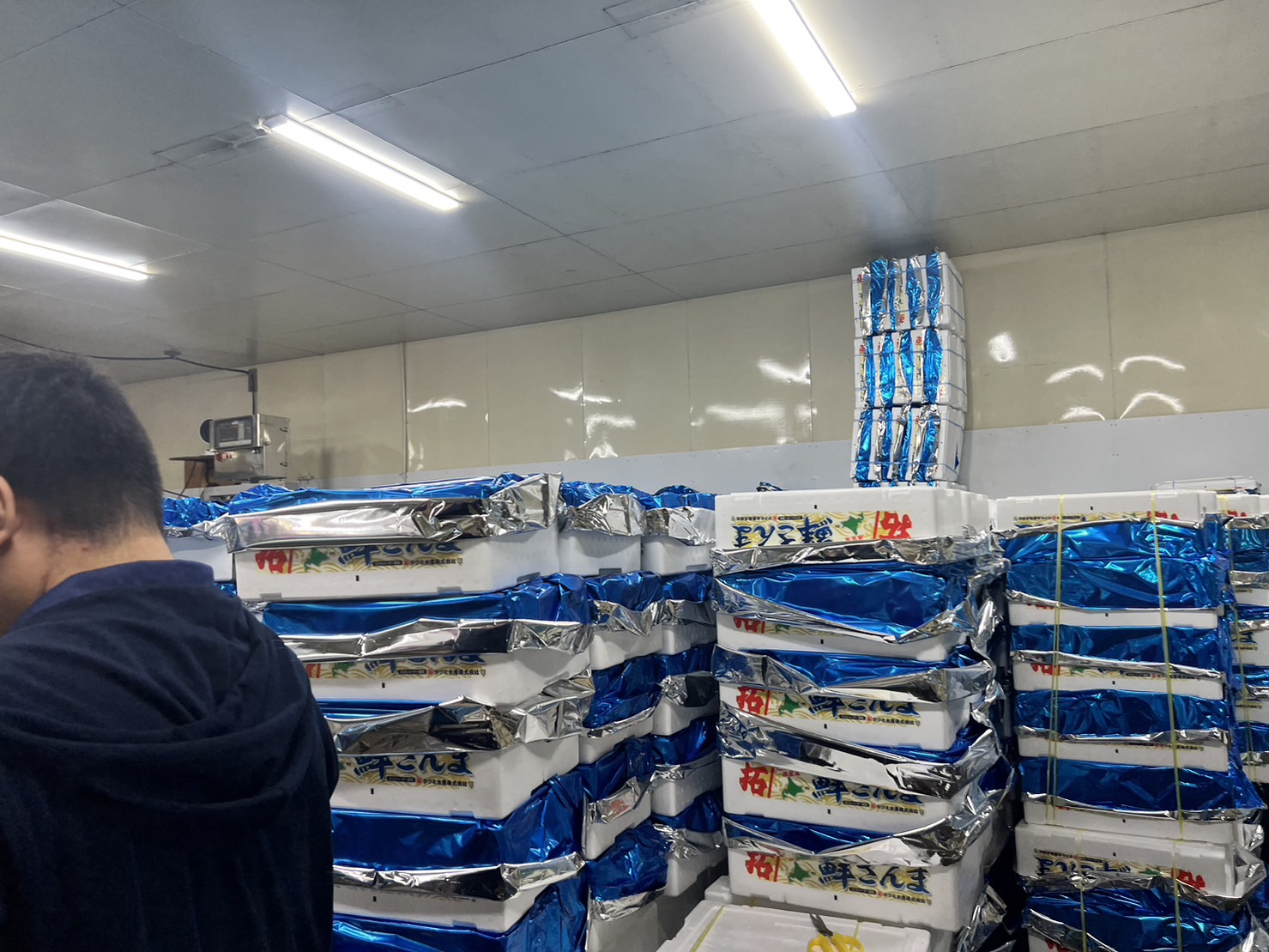 加工された食品